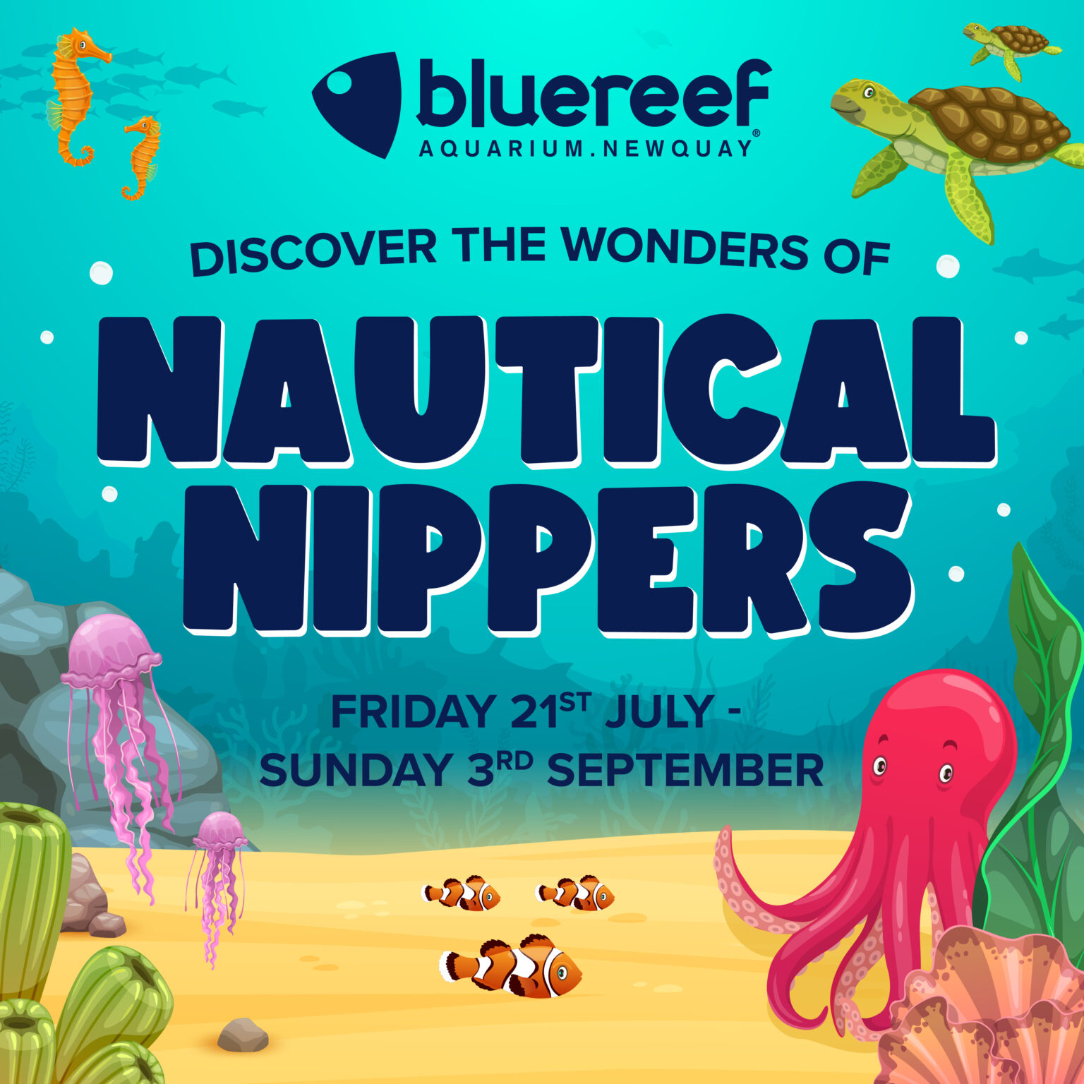 Home Page Blue Reef Aquarium Newquay Attraction