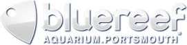 Blue Reef Aquarium logo