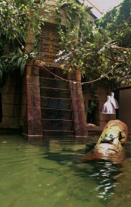 Flooded Forest display at Portsmouth Blue Reef Aquarium terrapins (1276x2000)