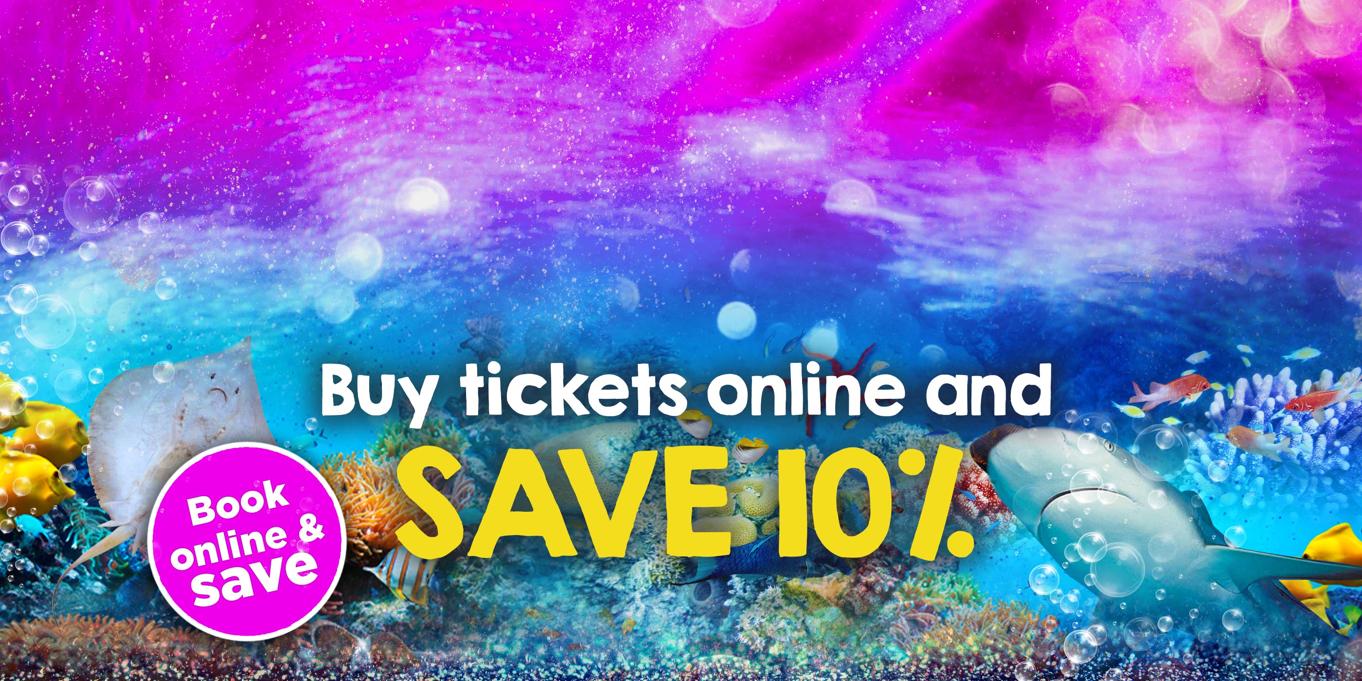 blue reef aquarium portsmouth buy discounted tickets online