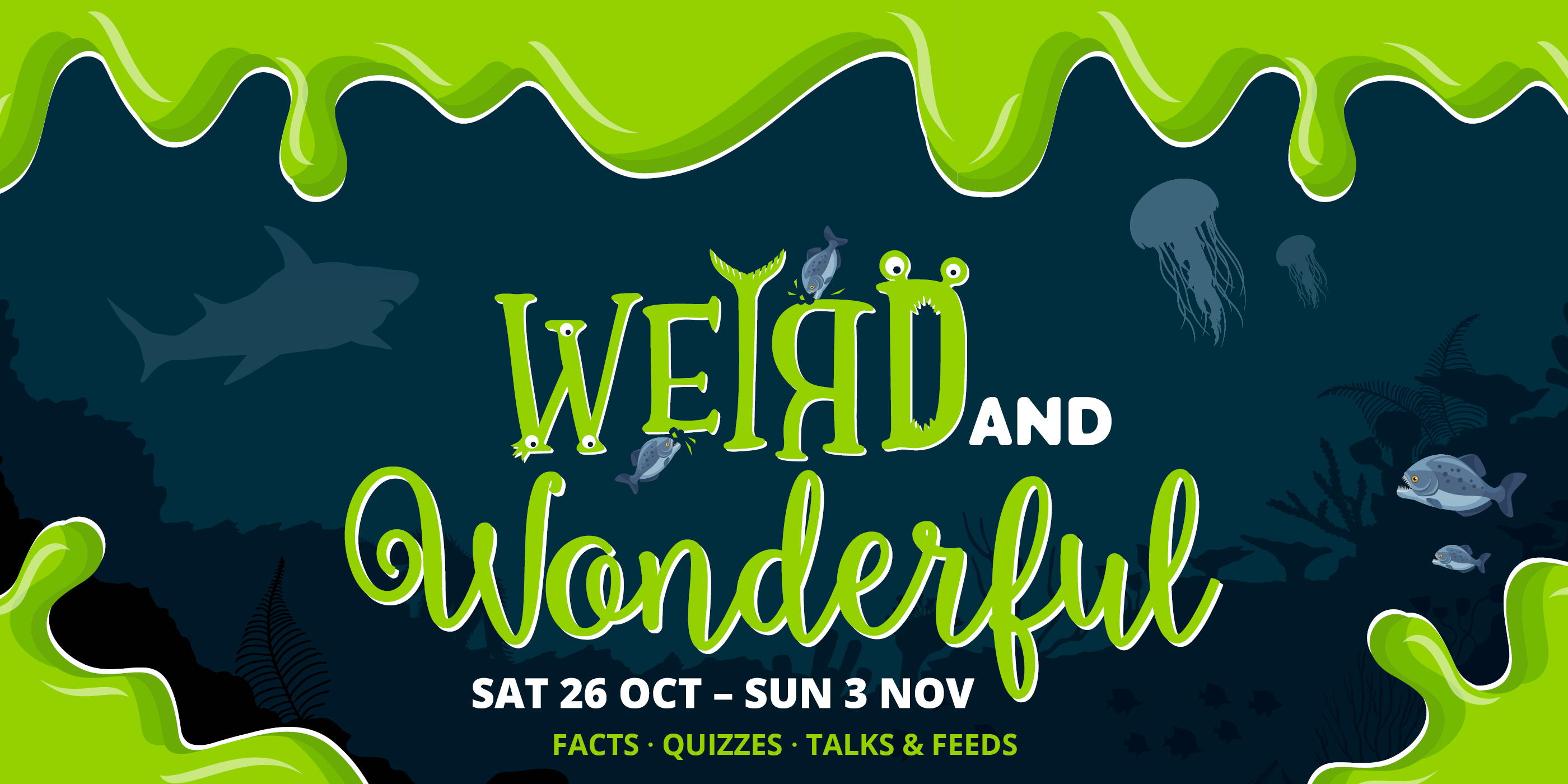 Bluereef Portsmouth Blue Reef Aquarium Portsmouth