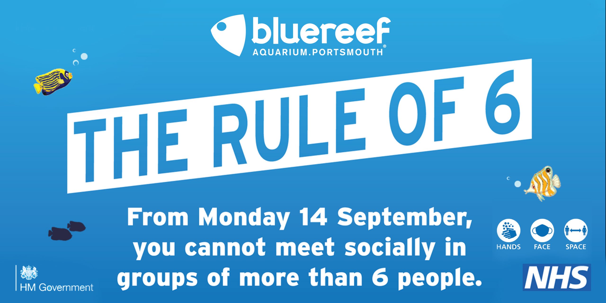 Bluereef Portsmouth Blue Reef Aquarium Portsmouth